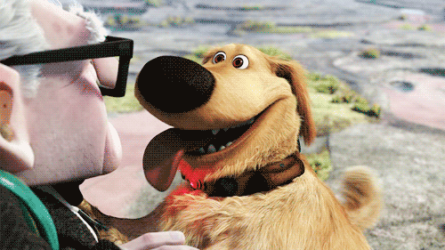 Dug from UP! squirrel GIF
